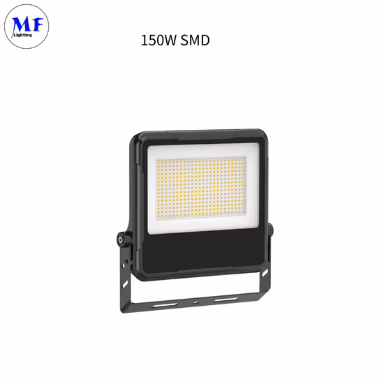 20W-120W Die Casting Aluminum IP66 Waterproof ENEC+ SAA RoHS Certificates LED Garden Park Light Manufaturer
